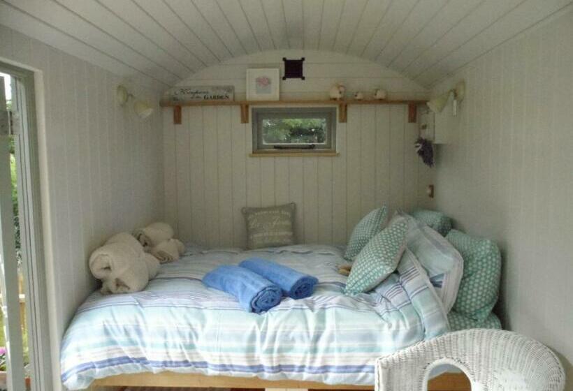 ベッドアンドブレックファースト Dolly At Lowlands