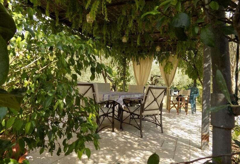 ベッドアンドブレックファースト Due Archi