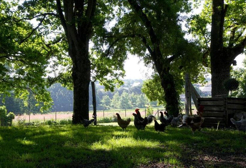 مبيت وإفطار La Butte De Gohier