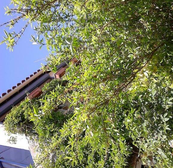 Bed and Breakfast La Citadelle