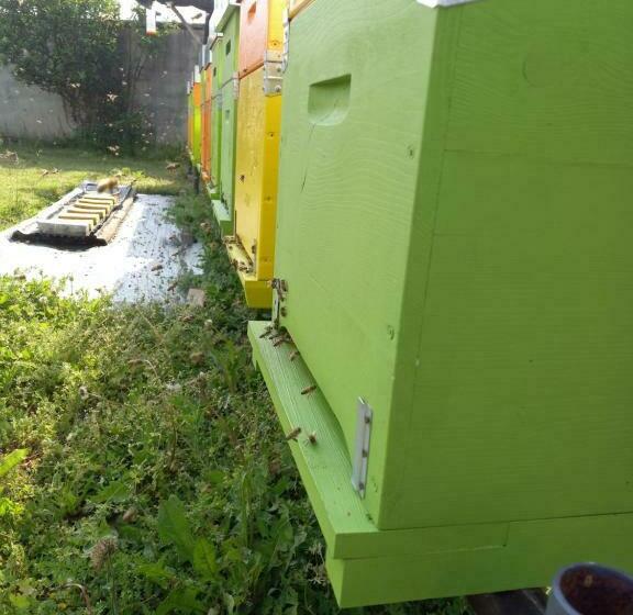 مبيت وإفطار La Lumaca Nel Pozzo