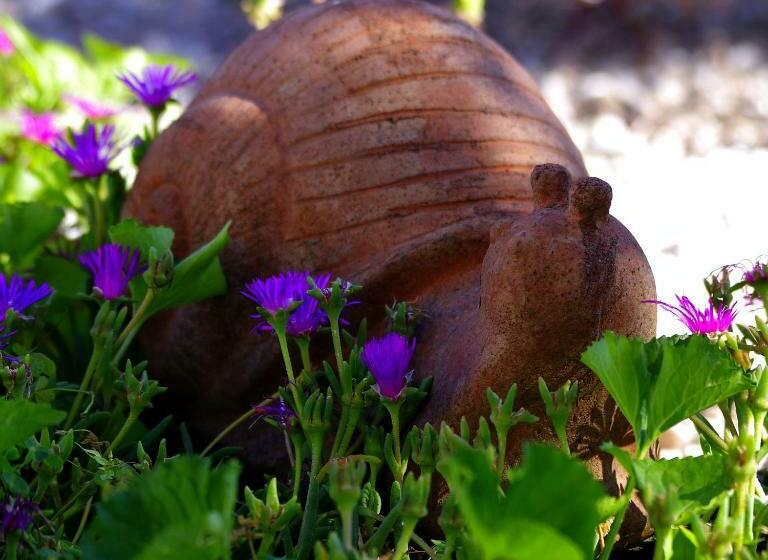 مبيت وإفطار La Lumaca Nel Pozzo