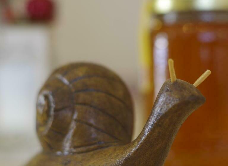 مبيت وإفطار La Lumaca Nel Pozzo