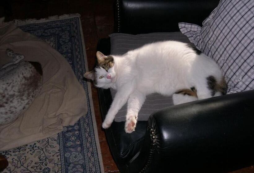 تختخواب و صبحانه Stuartlodge S