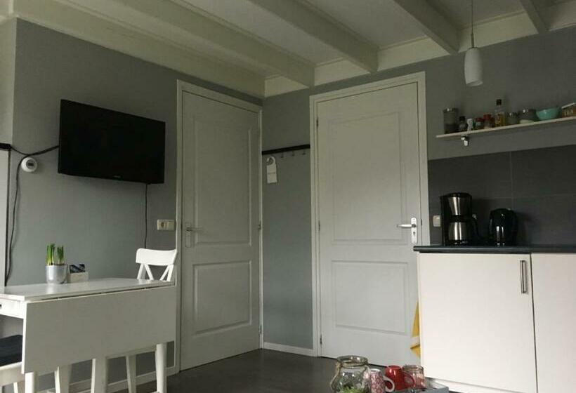 צימר T Laaisterplakky