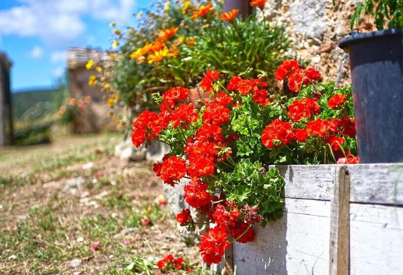 Bed and Breakfast Torre Della Chiocciola