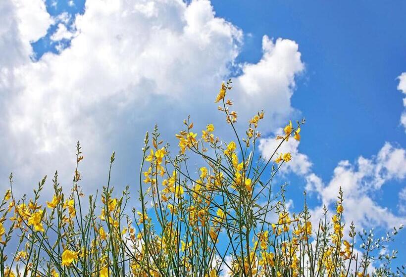 Bed and Breakfast Torre Della Chiocciola