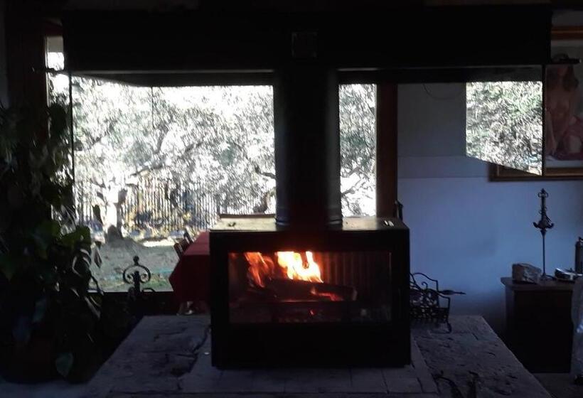 צימר Villa Ambrosia