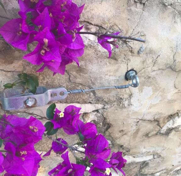 住宿加早餐 Villa Le Sud