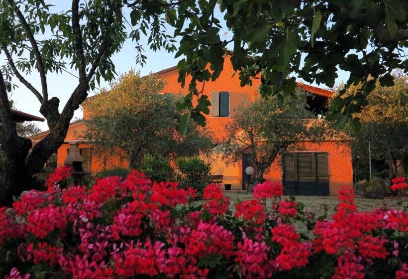 ホテル Agriturismo Colomboni