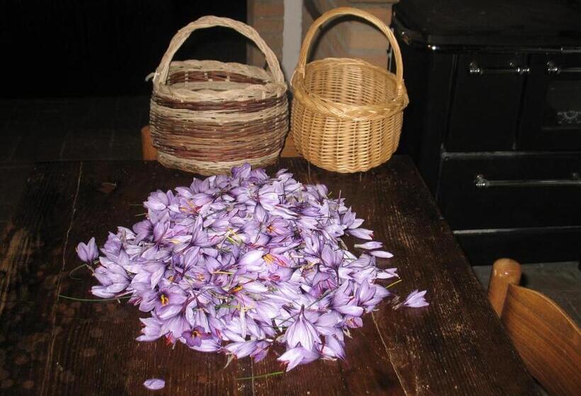 Отель Agriturismo Parzalla