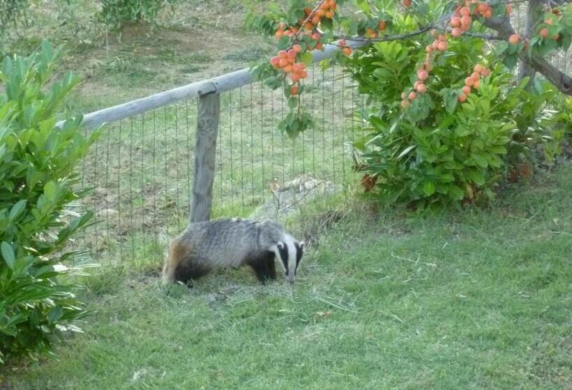 Отель Agriturismo Parzalla