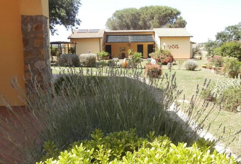 فندق Agriturismo Poggio Sassineri