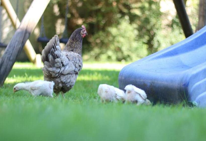 ホテル Ferienhof Moyer