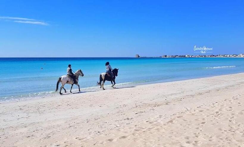 هتل Masseria La Lizza   Ospitalità Rurale