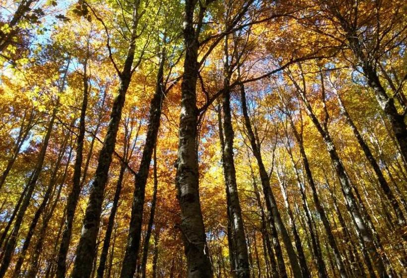 酒店 Pò Delle Buche