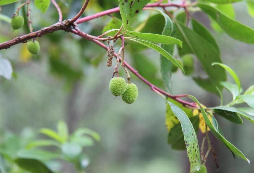 酒店 Pò Delle Buche