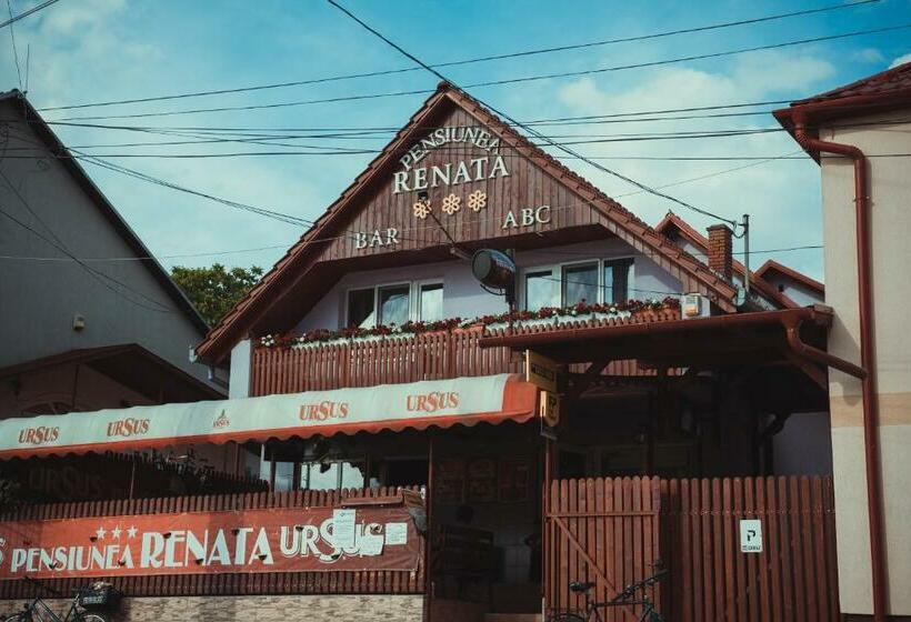 酒店 Pensiunea Renata
