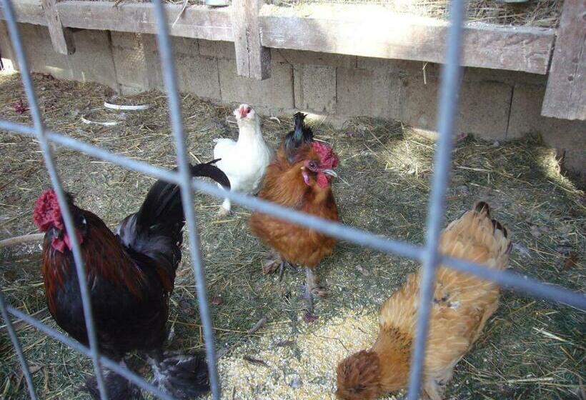 בית מלון כפרי Su Barroccu