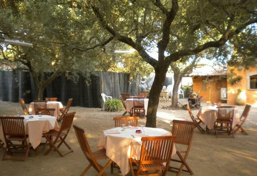 בית מלון כפרי Su Barroccu