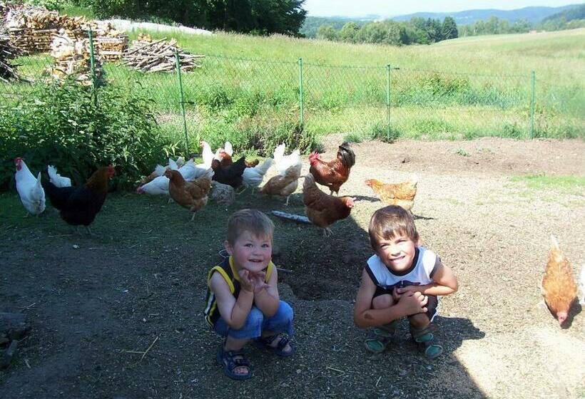 Отель Wagner Bauernhof