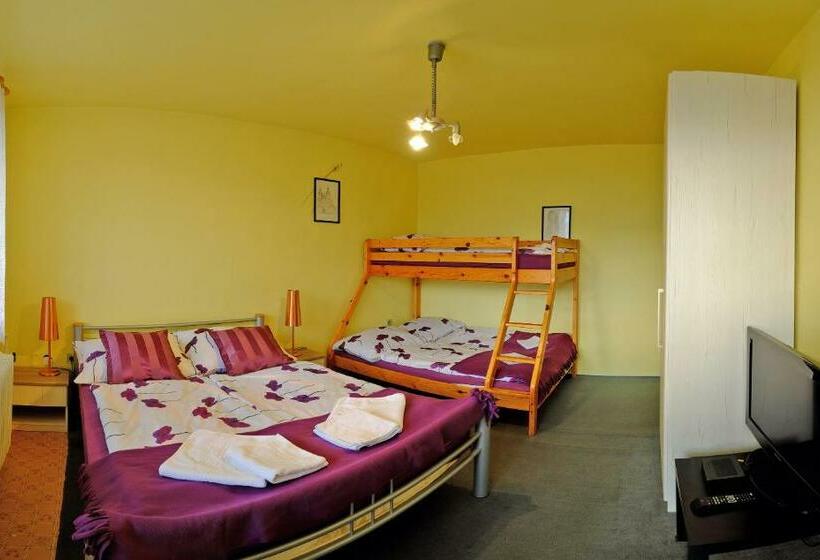 פנסיון 7 Star Wishes