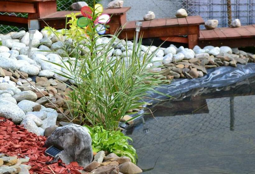 بنسيون 7 Star Wishes