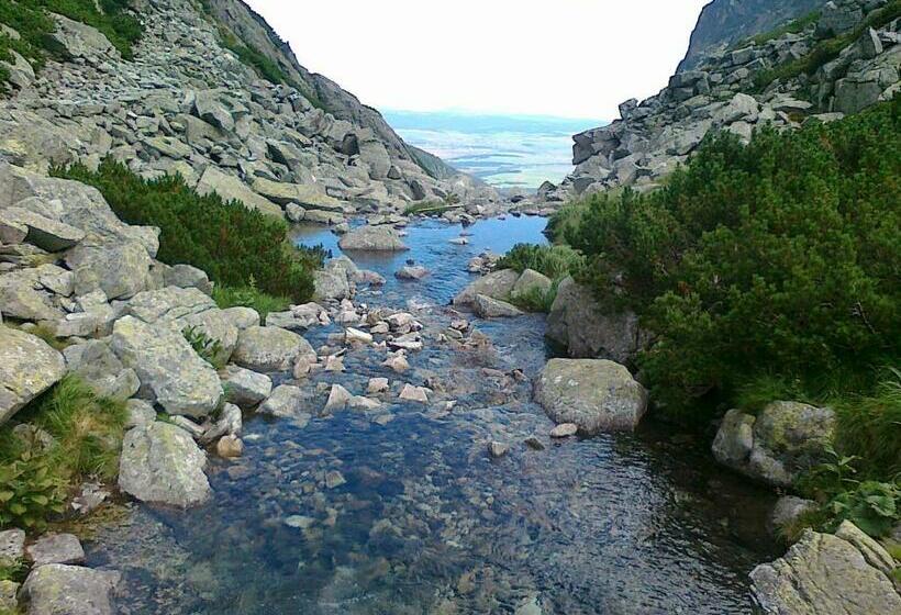 פנסיון 7 Star Wishes