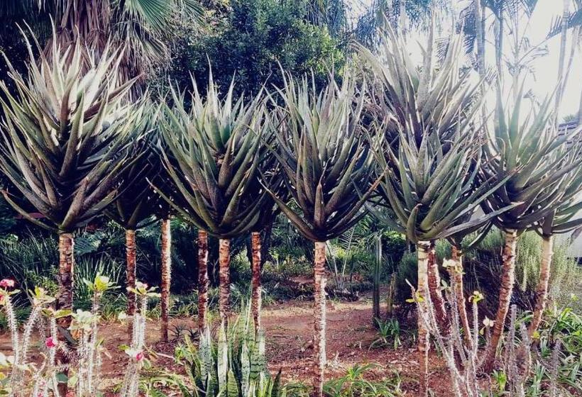 膳宿费 Dome Home Accommodation