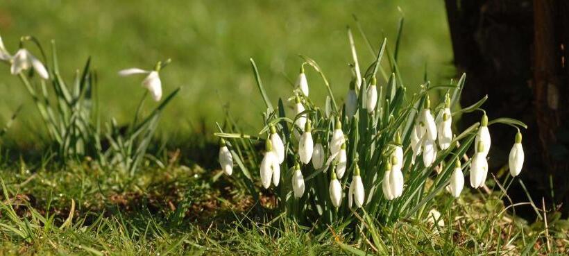 פנסיון Dwy Olwyn