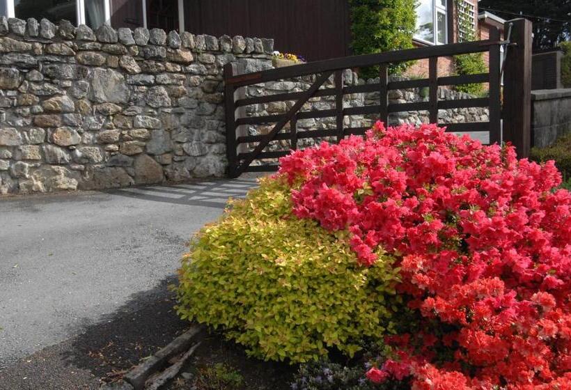 פנסיון Dwy Olwyn