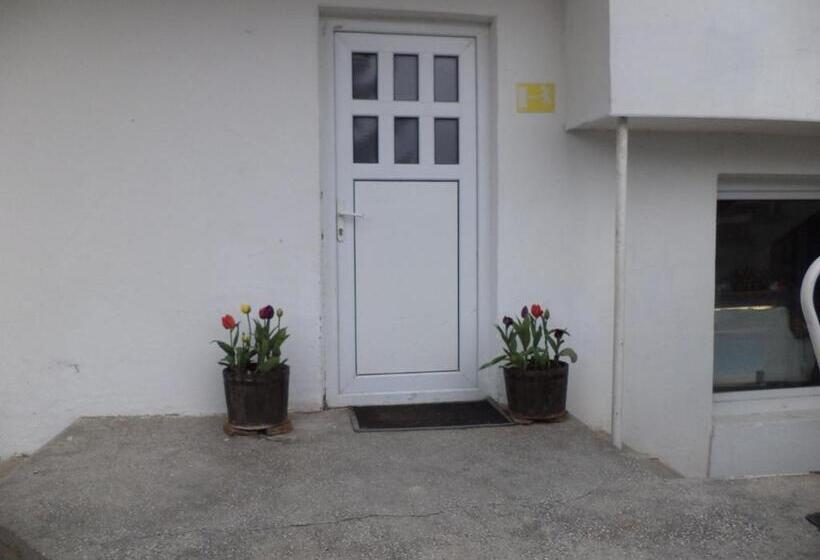 بنسيون Elbarr Rogachevo