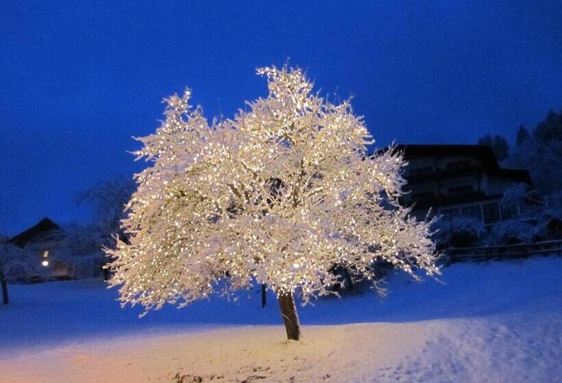 بنسيون Elisabeth Serfaus Inkl Der Super Sommer Card Im Sommer 2025