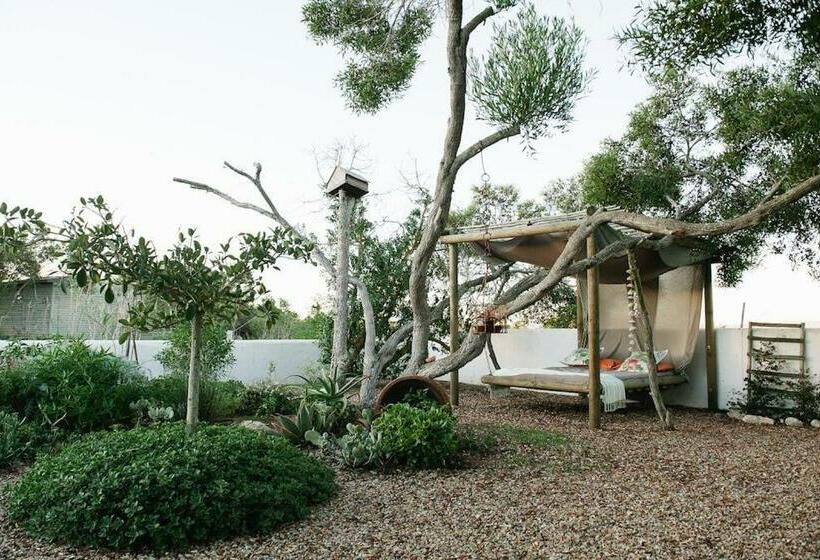 بنسيون Gelukkie