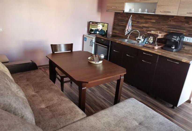 펜션 Guest Rooms Mihaylovi