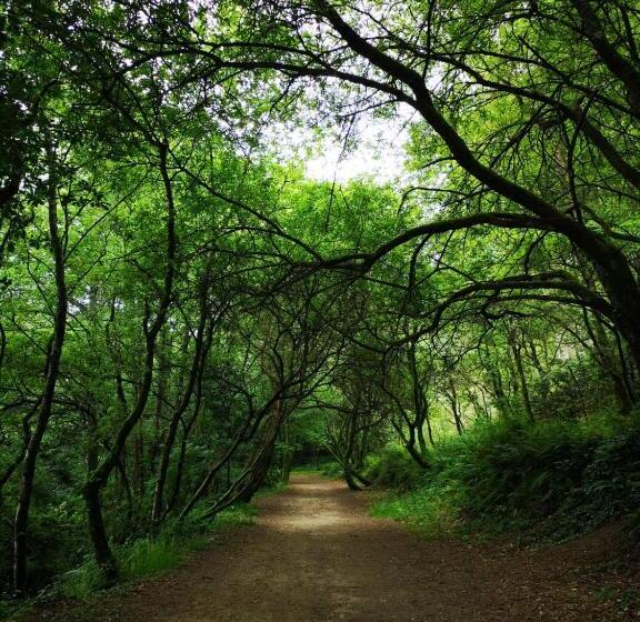 پانسیون Hostal Eden