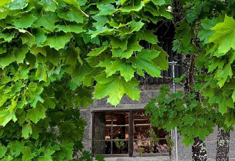 פנסיון Kartano Kievari