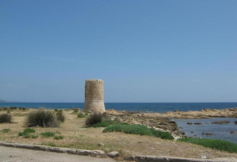 بنسيون La Rosa Affittacamere