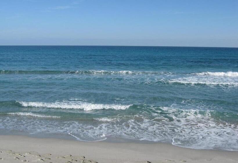 بنسيون La Rosa Affittacamere