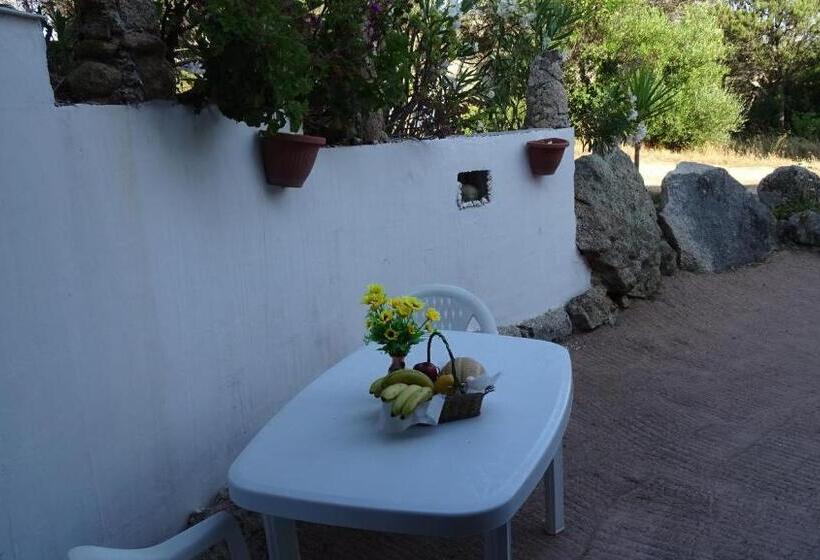 פנסיון Locanda Domus De Vida Turismo Rurale