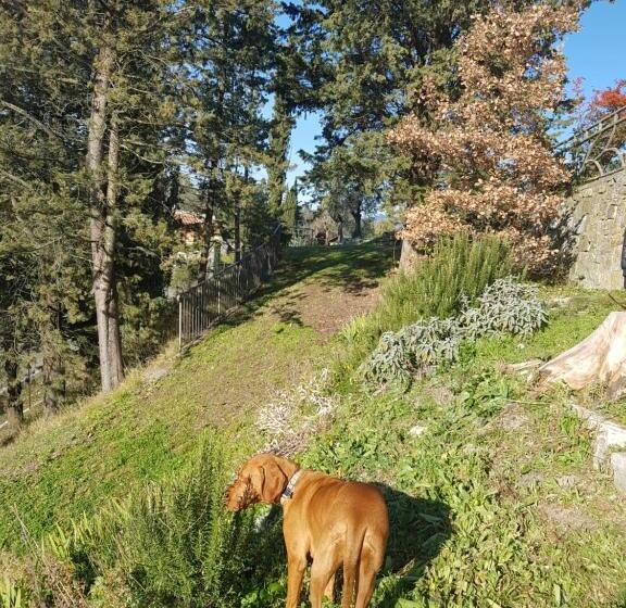 بنسيون San Martino Country Villa B&b