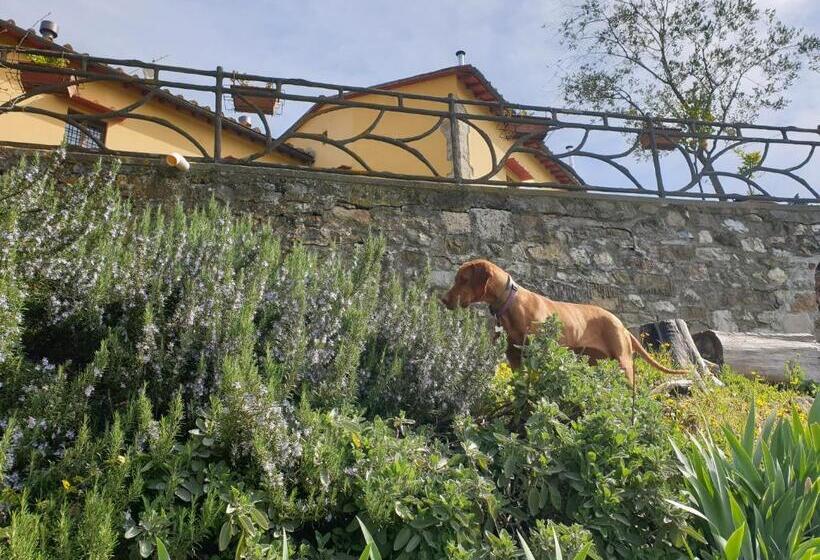 بنسيون San Martino Country Villa B&b