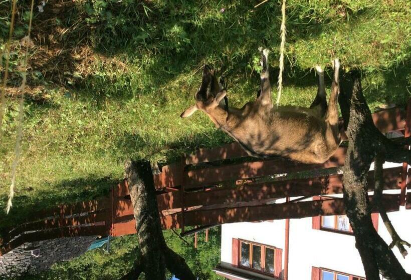 ペンション Ubytovanie Klinger   Chata Nad Jazerom