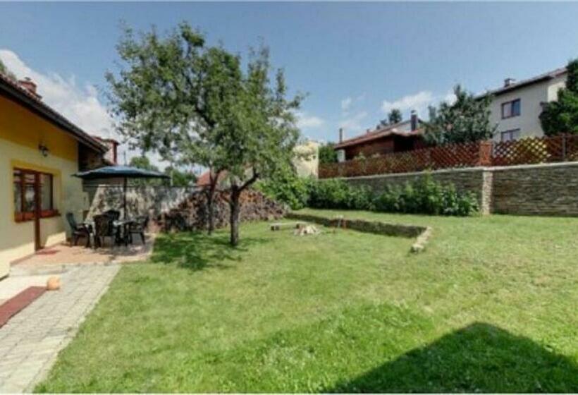 膳宿费 Vila Strážan