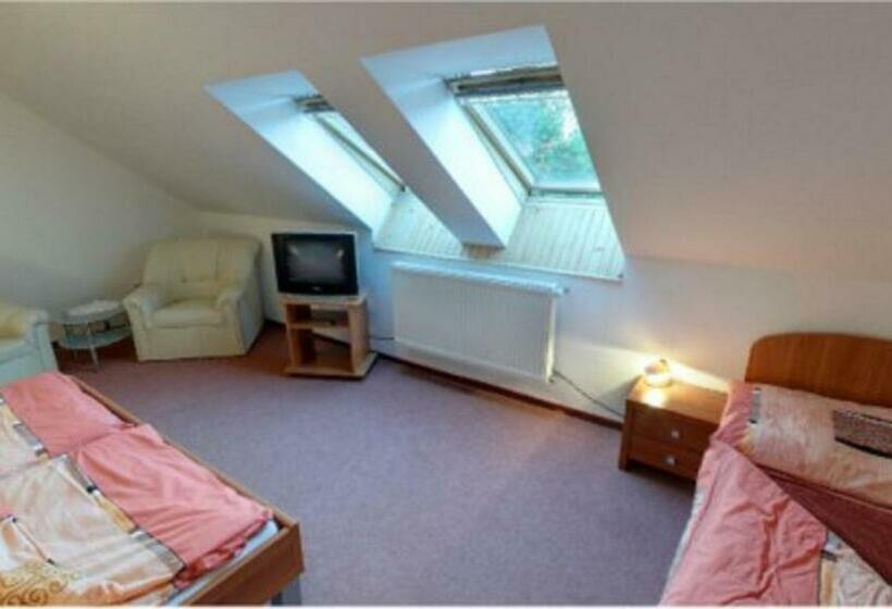 膳宿费 Vila Strážan