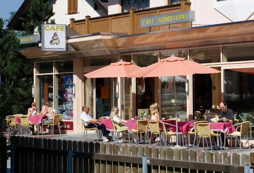 Pension Schenkenfelder