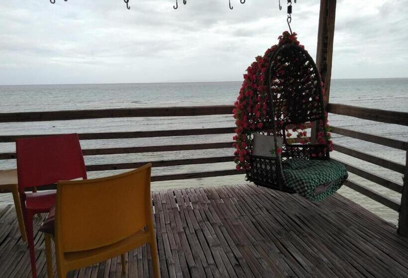 Sascha S Resort Oslob