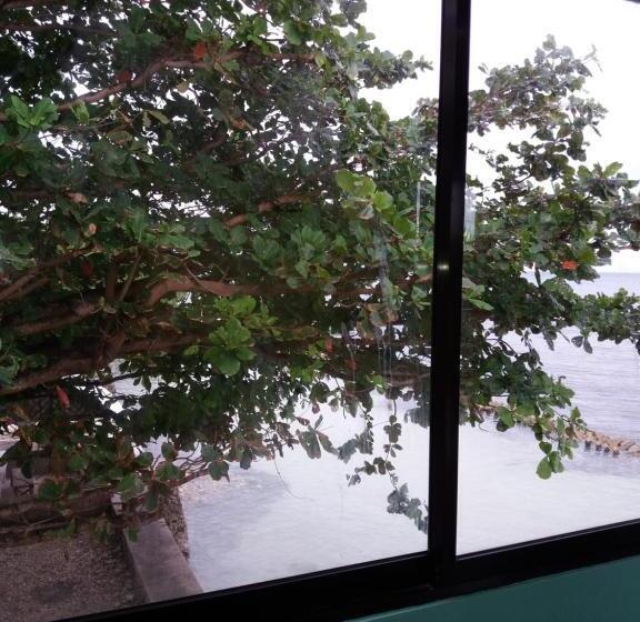 Sascha S Resort Oslob