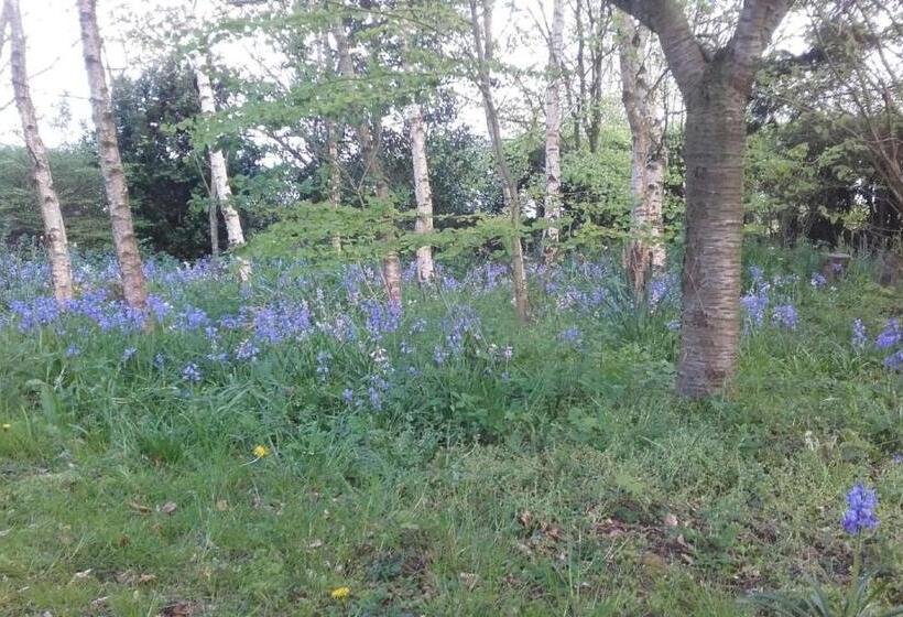 Twin Oaks Bed & Breakfast