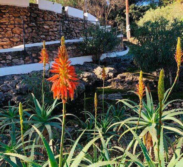 Villa Morera Bed & Breakfast